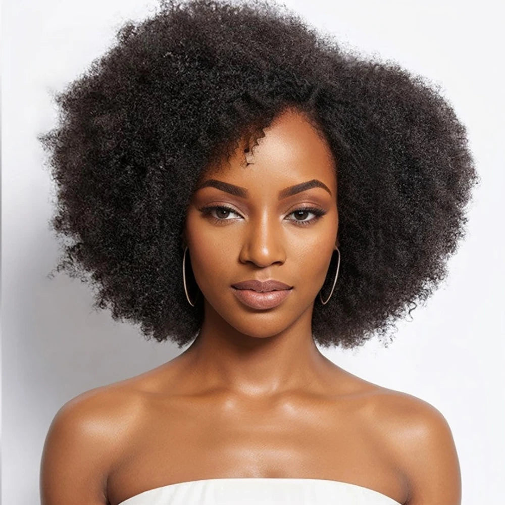 Afro Wigs Kinky Curly Lace Front Wig Human Hair Glueless 250%