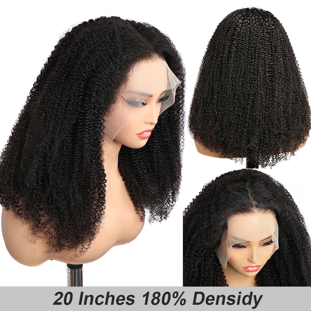 Afro Kinky Curly 13x4 Lace Front Wigs 4B 4C Brazilian Human Remy Hair