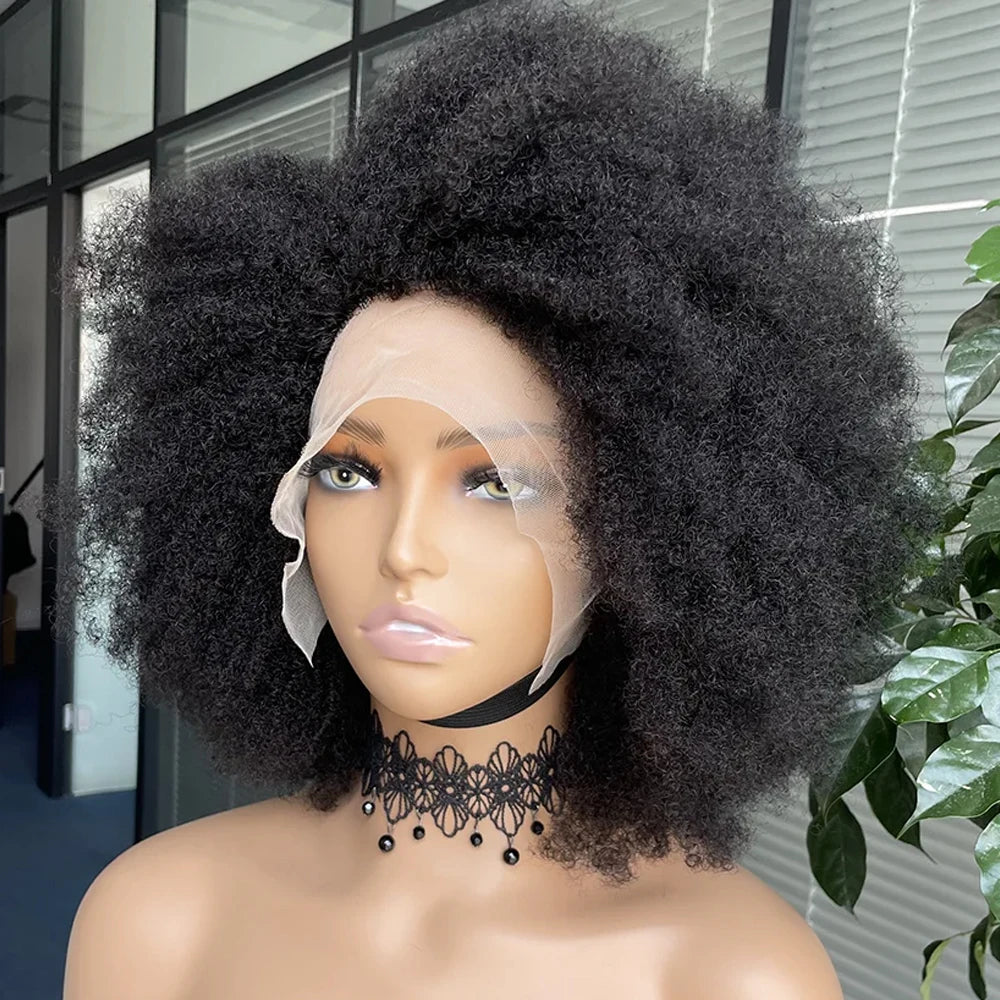 Afro Wigs Kinky Curly Lace Front Wig  Human Hair Glueless 250%